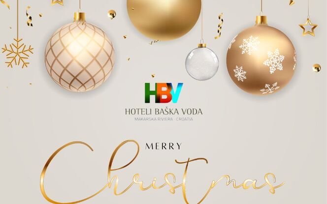 Merry Christmas and a Happy New Year from the entire HBV team! We wish you full and pleasant holidays with your loved ones and lots of happiness, love, health and beautiful moments!